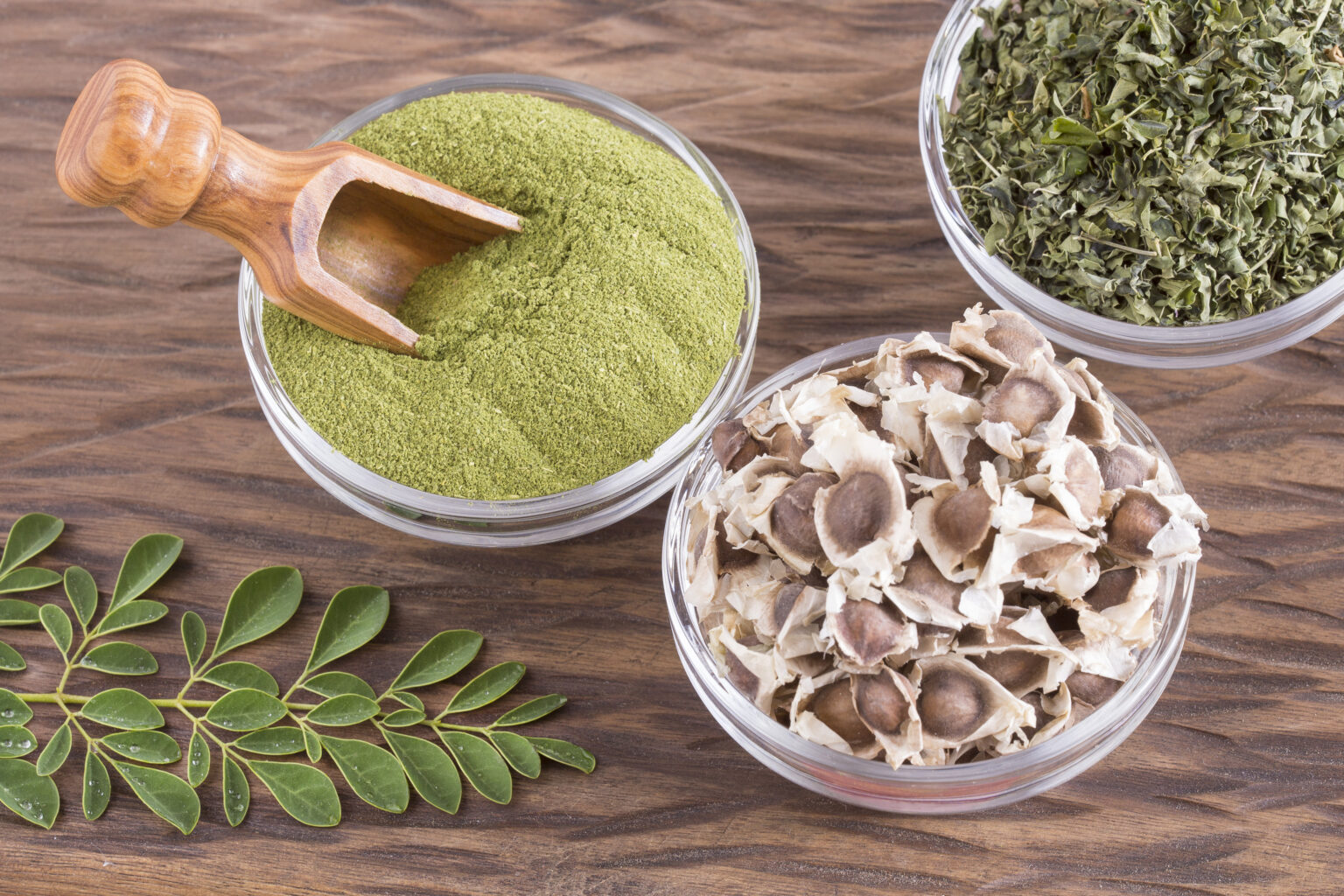 Seeds, leaves and seeds of moringa - Moringa oleifera